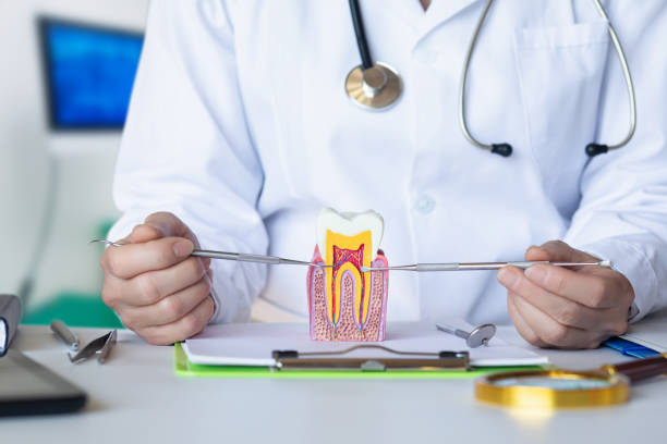 Professional Emergency Dental Service in WV